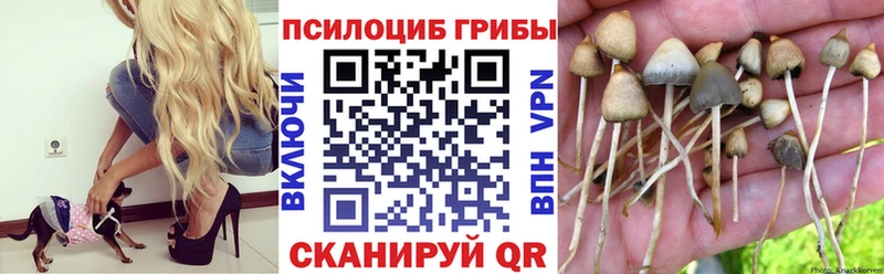 ссылка на мегу сайт  Фролово  Галлюциногенные грибы Magic Shrooms 